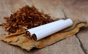 AFRICA: WHO Advocates Need for Continent to Implement Tax on Tobacco