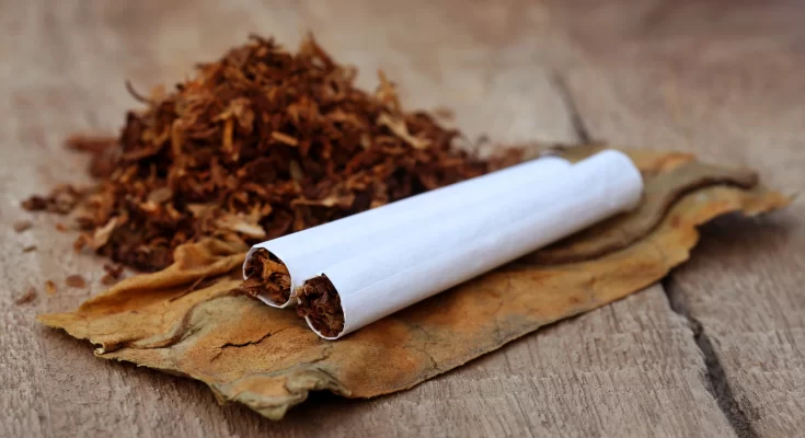 AFRICA: WHO Advocates Need for Continent to Implement Tax on Tobacco