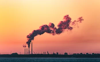 World Bank Recommends Carbon Tax on Fuels to Boost Kenya’s Revenue and Climate Goals