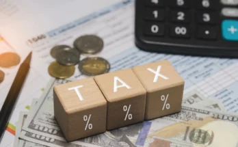 Mauritius Court Clarifies Tax Relief for Incidental Interest Income