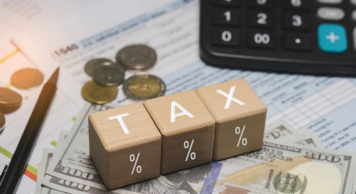 Mauritius Court Clarifies Tax Relief for Incidental Interest Income