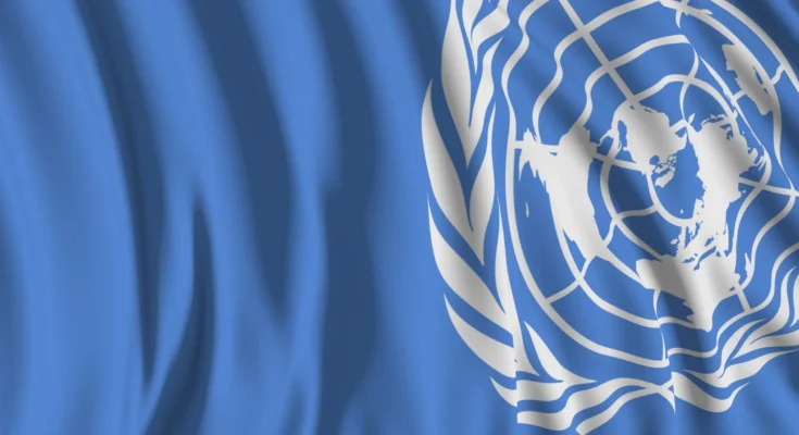 Nigeria’s Multinationals Could Face a New Tax Reality as UN Pushes ‘Pay-Where-You-Play’ Model